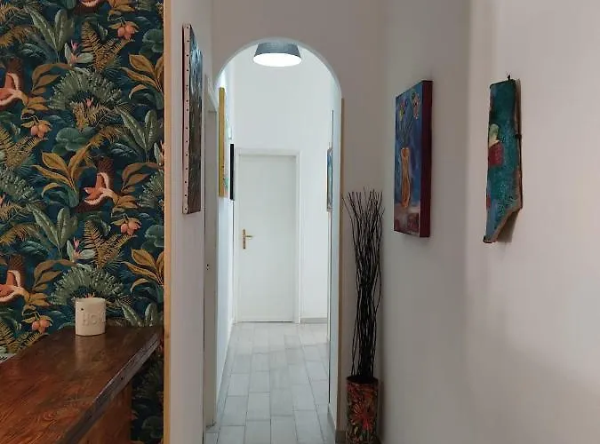 House 4* 阿沃拉
