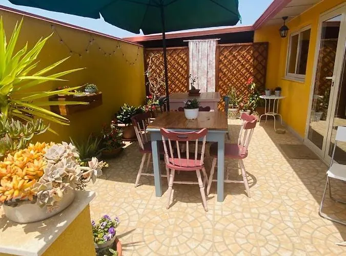 House 招待所 阿沃拉